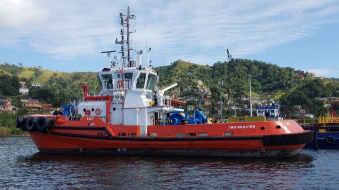 Tug Lilly (After)