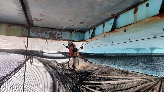 Deck Netting System